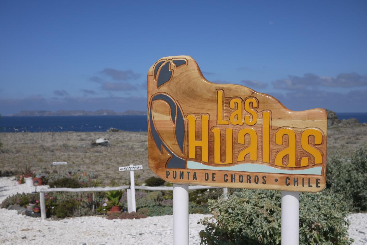 Las Hualas Punta de Choros Exterior photo