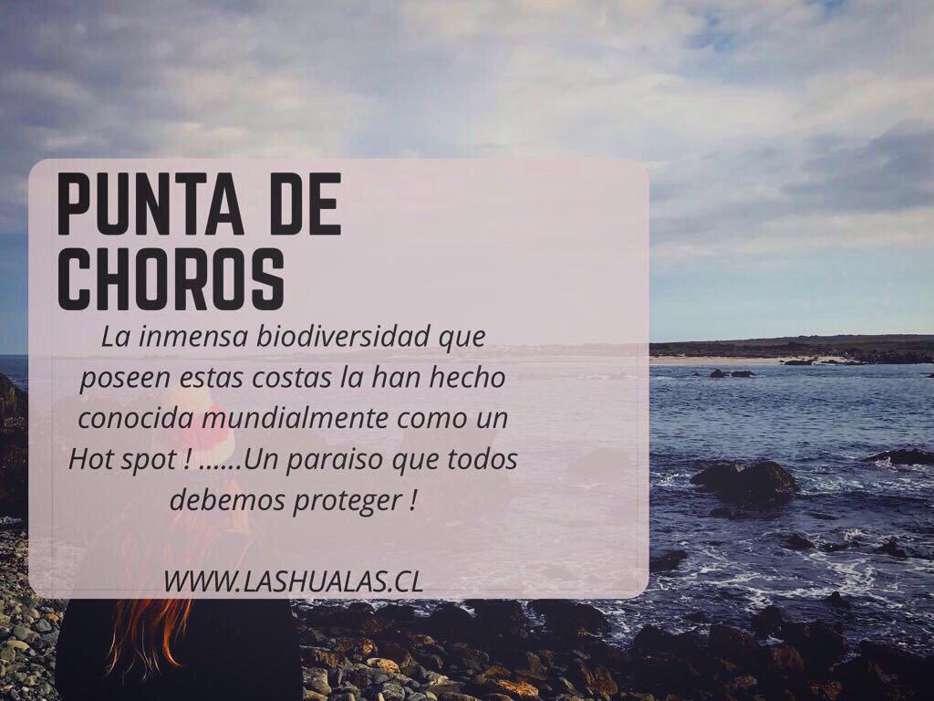 Las Hualas Punta de Choros Exterior photo